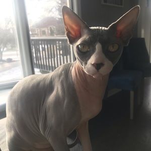 Meet your Posher, Mary